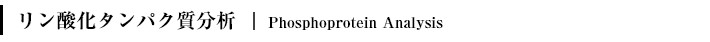 リン酸化タンパク質分析